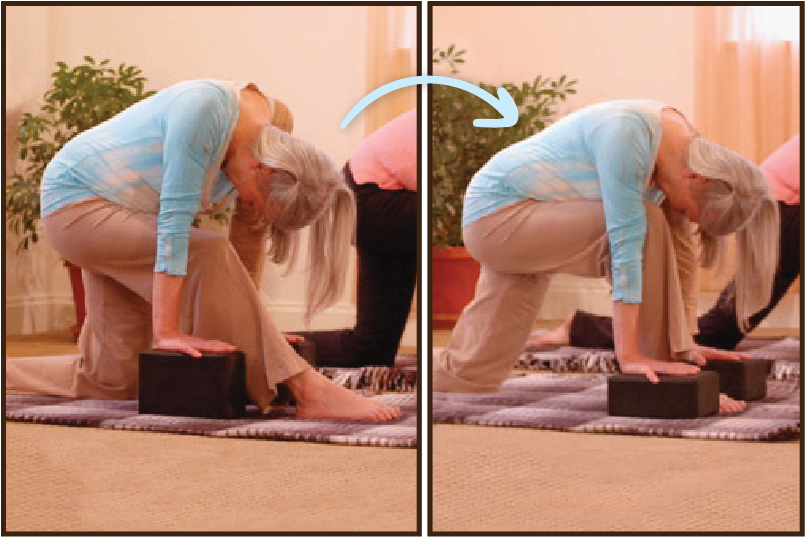 YogaBody Classroom Therapeutics 250905